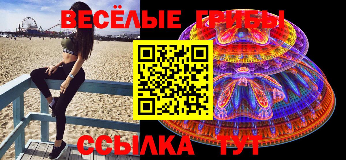 Галлюциногенные грибы прущие грибы  Вход с VPN  Псилоцибиновые грибы мицелий  Саранск 